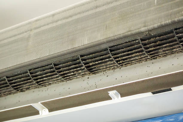 Air Duct Mold Removal in Cheverly, MD